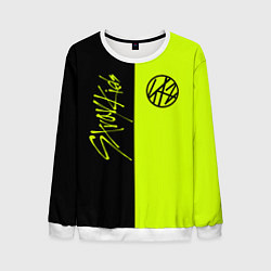 Мужской свитшот Stray Kids