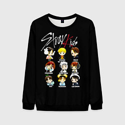 Мужской свитшот Stray Kids