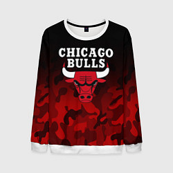 Мужской свитшот CHICAGO BULLS