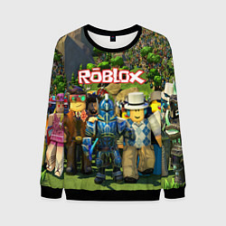 Свитшот мужской ROBLOX, цвет: 3D-черный