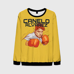 Мужской свитшот Canelo Alvarez