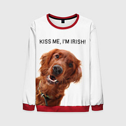 Свитшот мужской Ирландский сеттер, цвет: 3D-красный
