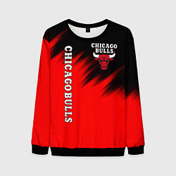 Свитшот мужской CHICAGO BULLS, цвет: 3D-черный