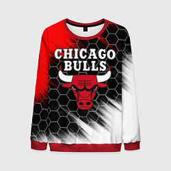 Мужской свитшот CHICAGO BULLS