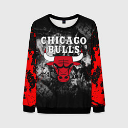 Свитшот мужской CHICAGO BULLS, цвет: 3D-черный