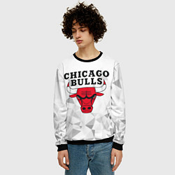 Свитшот мужской CHICAGO BULLS, цвет: 3D-черный — фото 2