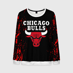 Свитшот мужской CHICAGO BULLS, цвет: 3D-белый