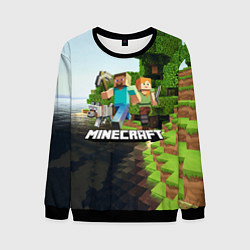 Свитшот мужской Minecraft, цвет: 3D-черный