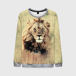 Свитшот мужской Lion King, цвет: 3D-меланж