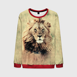 Свитшот мужской Lion King, цвет: 3D-красный