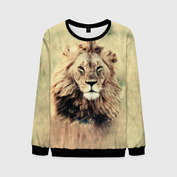 Мужской свитшот Lion King