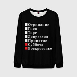 Мужской свитшот Коротко о моей жизни