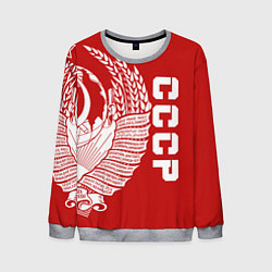 Свитшот мужской СССР, цвет: 3D-меланж