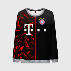 Свитшот мужской FC Bayern Munchen Форма, цвет: 3D-меланж
