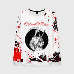 Мужской свитшот Children of Bodom Z