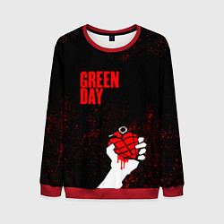 Мужской свитшот Green day