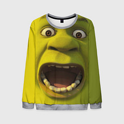 Свитшот мужской Shrek is Yelling, цвет: 3D-меланж