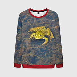 Мужской свитшот Лягушка