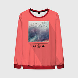 Мужской свитшот Never die