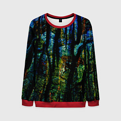 Мужской свитшот Разноцветная гора