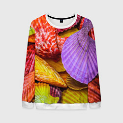 Мужской свитшот Разноцветные ракушки multicolored seashells