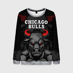 Свитшот мужской CHICAGO BULLS ЯРОСТНЫЙ БЫК, цвет: 3D-меланж