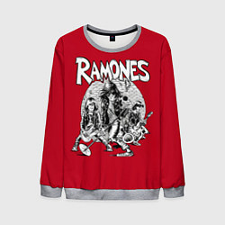 Свитшот мужской BW Ramones, цвет: 3D-меланж