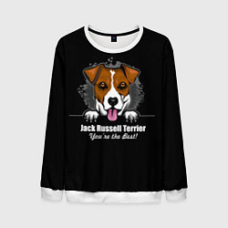 Мужской свитшот Джек-Рассел-Терьер Jack Russell Terrier