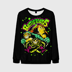 Свитшот мужской Battletoads Боевые Жабы, цвет: 3D-черный