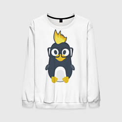 Свитшот мужской Linux пингвин Талисман для программистов, цвет: 3D-белый