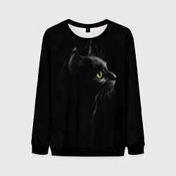 Мужской свитшот Черный кот на черном фоне