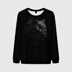 Мужской свитшот Черна кошка с изумрудными глазами