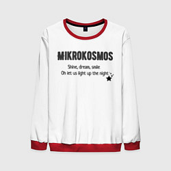 Мужской свитшот Mikrokosmos