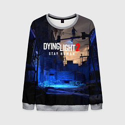 Свитшот мужской Dyng Light 2: Stay Human - Приближается ночь, цвет: 3D-меланж