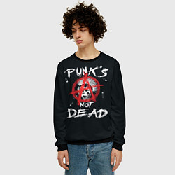 Свитшот мужской Punks Not Dead Анархия, цвет: 3D-черный — фото 2