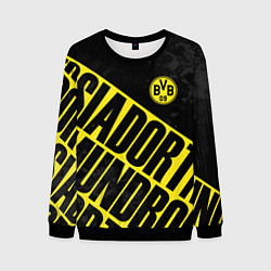Свитшот мужской Боруссия Дортмунд, Borussia Dortmund, цвет: 3D-черный