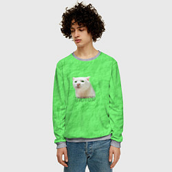 Свитшот мужской Приемлемо кот мем, цвет: 3D-меланж — фото 2