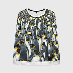 Свитшот мужской Пингвины Penguins, цвет: 3D-белый