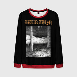 Мужской свитшот Burzum cockroaches