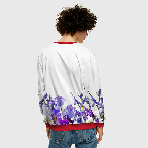 Мужской свитшот Любимые Ирисы / 3D-Красный – фото 4