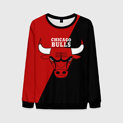 Мужской свитшот Chicago Bulls NBA