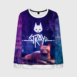 Свитшот мужской Stray кот - дымок - neon, цвет: 3D-белый