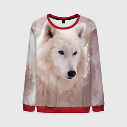 Свитшот мужской Белый зимний волк, цвет: 3D-красный
