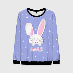 Свитшот мужской Кролик - символ 2023 года, цвет: 3D-черный