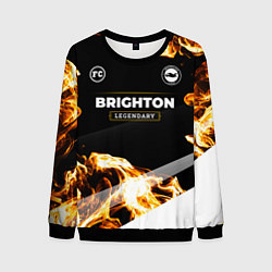 Свитшот мужской Brighton legendary sport fire, цвет: 3D-черный