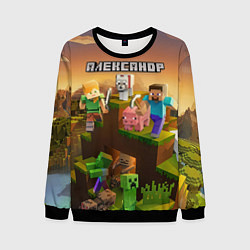 Свитшот мужской Александр Minecraft, цвет: 3D-черный