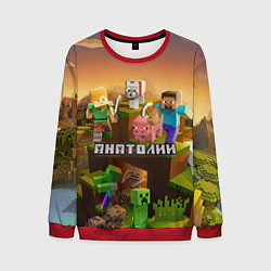 Свитшот мужской Анатолий Minecraft, цвет: 3D-красный