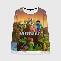 Свитшот мужской Виталий Minecraft, цвет: 3D-белый
