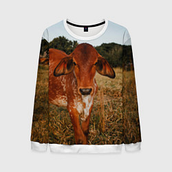 Свитшот мужской Коровка на поле, цвет: 3D-белый