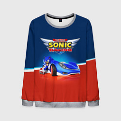 Свитшот мужской Team Sonic Racing - Ёжик и его точило, цвет: 3D-меланж